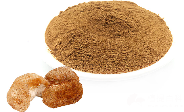 猴头菇提取物Hericium erinaceus extract