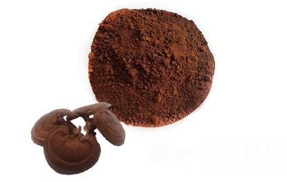 灵芝孢子粉 Ganoderma lucidum spore