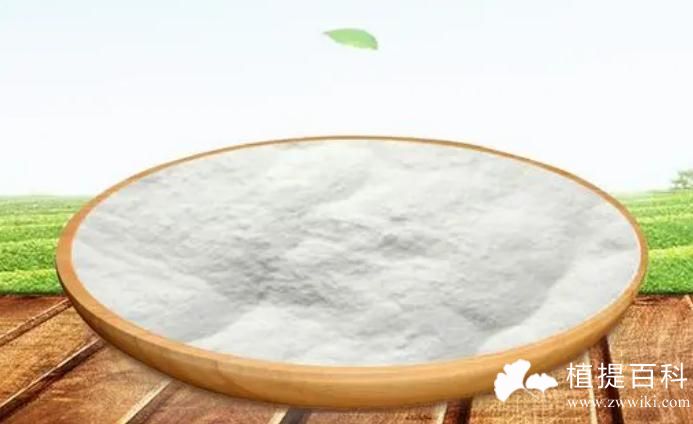 亚精胺 Spermidine